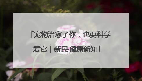 宠物治愈了你，也要科学爱它｜新民·健康新知