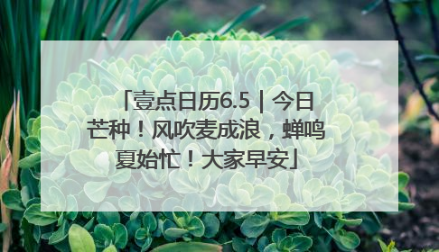 壹点日历6.5｜今日芒种！风吹麦成浪，蝉鸣夏始忙！大家早安