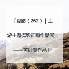 夏影（262）｜上游主题摄影征稿作品展——黄红专作品