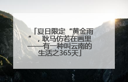 夏日限定“黄金雨”，耿马仿若在画里——有一种叫云南的生活之365天
