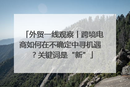 外贸一线观察丨跨境电商如何在不确定中寻机遇？关键词是“新”