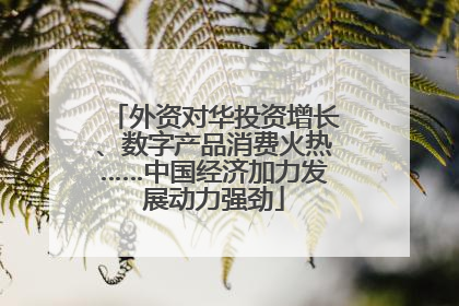 外资对华投资增长、数字产品消费火热……中国经济加力发展动力强劲