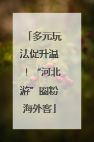 多元玩法促升温！“河北游”圈粉海外客