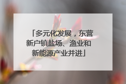 多元化发展，东营新户镇盐场、渔业和新能源产业并进