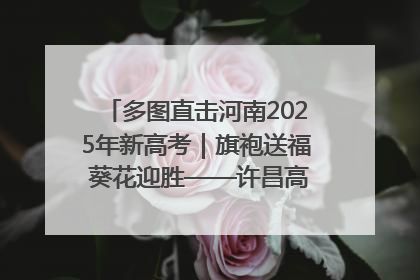 多图直击河南2025年新高考｜旗袍送福 葵花迎胜——许昌高考首日拉开帷幕