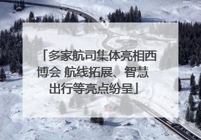 多家航司集体亮相西博会 航线拓展、智慧出行等亮点纷呈