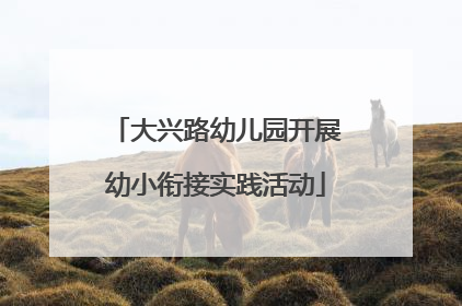 大兴路幼儿园开展幼小衔接实践活动