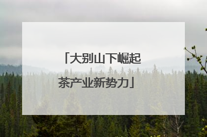 大别山下崛起茶产业新势力