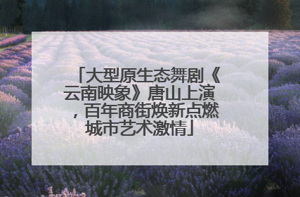 大型原生态舞剧《云南映象》唐山上演，百年商街焕新点燃城市艺术激情