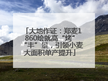 大地作证：郑麦1860绘就高“烤”“丰”景，引领小麦大面积单产提升