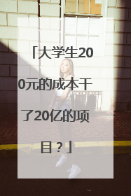 大学生200元的成本干了20亿的项目？