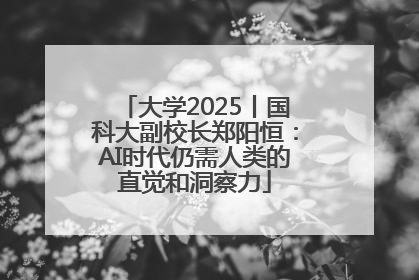 大学2025丨国科大副校长郑阳恒：AI时代仍需人类的直觉和洞察力