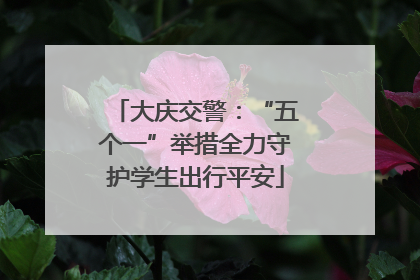 大庆交警：“五个一”举措全力守护学生出行平安