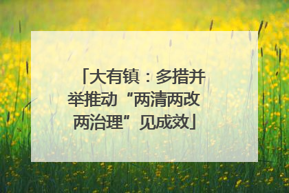 大有镇：多措并举推动“两清两改两治理”见成效