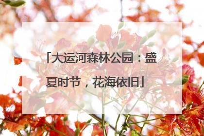 大运河森林公园：盛夏时节，花海依旧