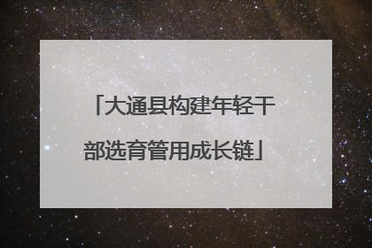 大通县构建年轻干部选育管用成长链