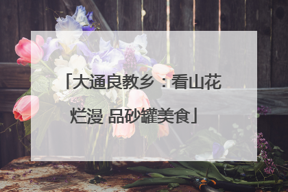 大通良教乡：看山花烂漫 品砂罐美食