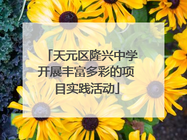 天元区隆兴中学开展丰富多彩的项目实践活动