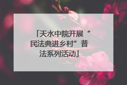 天水中院开展“民法典进乡村”普法系列活动