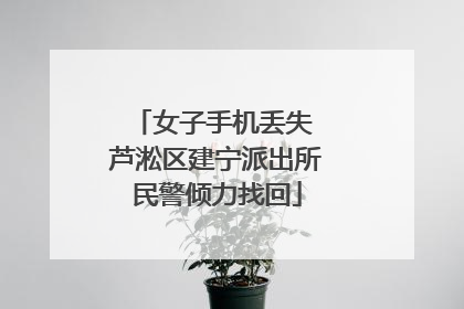 女子手机丢失 芦淞区建宁派出所民警倾力找回