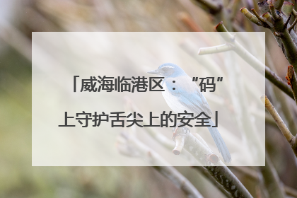 威海临港区：“码”上守护舌尖上的安全