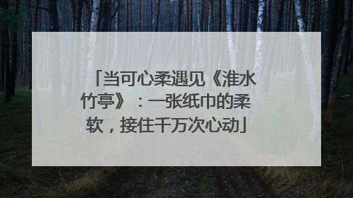 当可心柔遇见《淮水竹亭》：一张纸巾的柔软，接住千万次心动