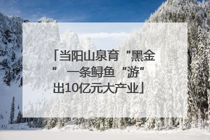 当阳山泉育“黑金” 一条鲟鱼“游”出10亿元大产业