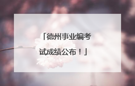 德州事业编考试成绩公布！