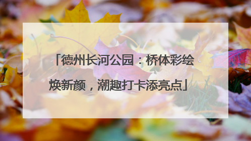 德州长河公园：桥体彩绘焕新颜，潮趣打卡添亮点