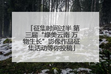 征集时间过半 第三届“绿美云南 万物生长”影像作品征集活动等你投稿
