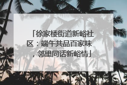 徐家楼街道新峪社区：端午共品百家味，邻里同话新峪情