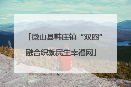 微山县韩庄镇“双圈”融合织就民生幸福网
