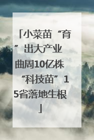 小菜苗“育”出大产业 曲周10亿株“科技苗”15省落地生根