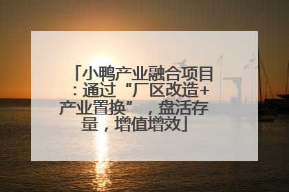 小鸭产业融合项目：通过“厂区改造+产业置换”，盘活存量，增值增效