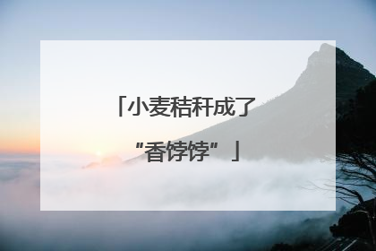 小麦秸秆成了“香饽饽”