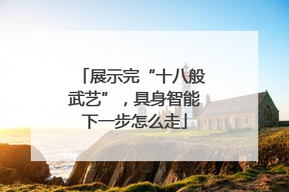 展示完“十八般武艺”，具身智能下一步怎么走