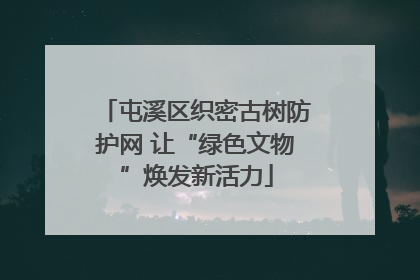 屯溪区织密古树防护网 让“绿色文物”焕发新活力