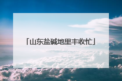 山东盐碱地里丰收忙