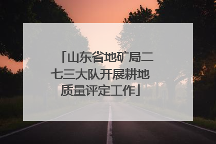 山东省地矿局二七三大队开展耕地质量评定工作