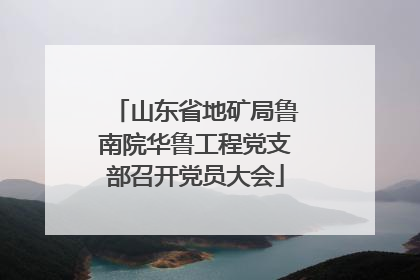 山东省地矿局鲁南院华鲁工程党支部召开党员大会