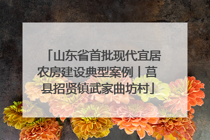 山东省首批现代宜居农房建设典型案例丨莒县招贤镇武家曲坊村