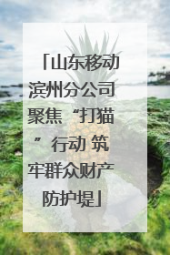 山东移动滨州分公司聚焦“打猫”行动 筑牢群众财产防护堤