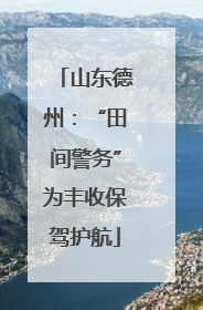 山东德州：“田间警务”为丰收保驾护航