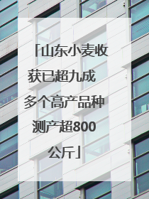 山东小麦收获已超九成 多个高产品种测产超800公斤