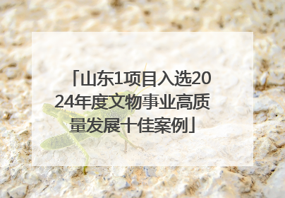 山东1项目入选2024年度文物事业高质量发展十佳案例