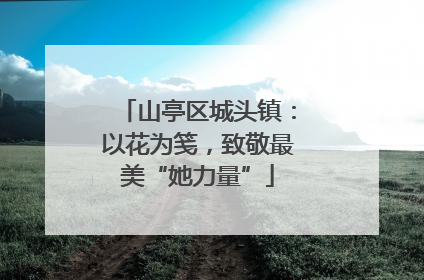 山亭区城头镇：以花为笺，致敬最美“她力量”