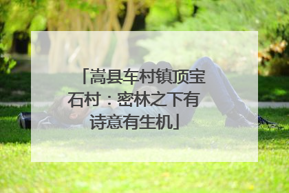 嵩县车村镇顶宝石村：密林之下有诗意有生机