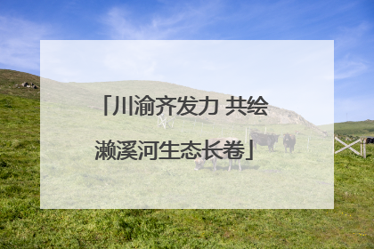川渝齐发力 共绘濑溪河生态长卷