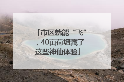 市区就能“飞”，40亩荷塘藏了这些神仙体验