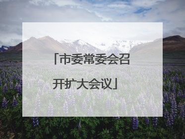 市委常委会召开扩大会议